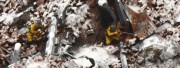 Bitwa o Stalingrad 1942 diorama 6193 Italeri