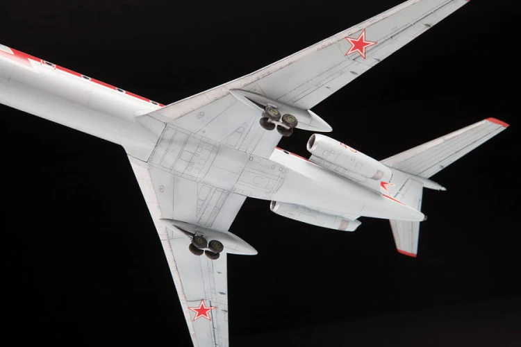 Samolot Tupolew Tu-134UBL 7036 Zvezda