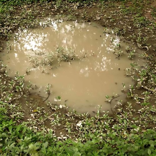 Preparat akrylowy Puddles kałuże AK8028 AK Interactive