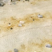 Tekstura Desert sand piasek pustynny AK8020 AK Interactive
