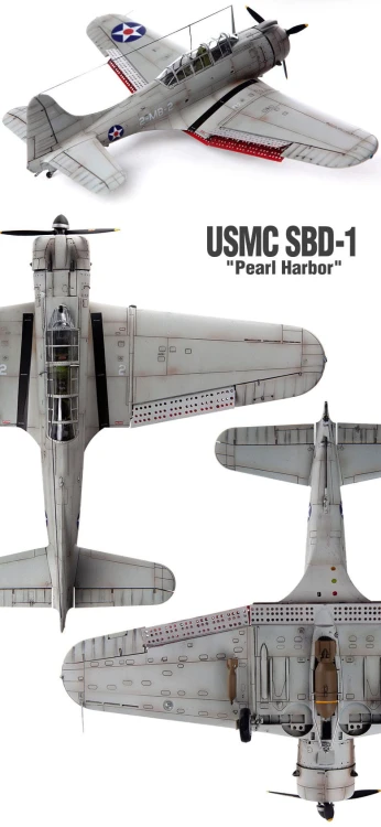 Samolot Douglas SBD-1 Dauntless 12331 Academy