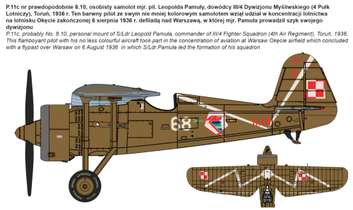 Samolot PZL P.11c 72519 IBG