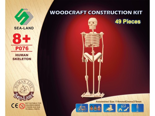 Szkielet człowieka kościotrup składanka P076 Sea-Land