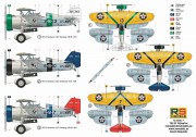 Samolot Curtiss BFC-2 Goshawk 92213 RS Models