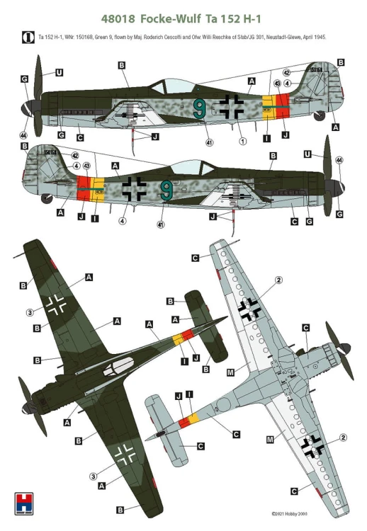 Samolot Focke-Wulf Ta 152 H-1 48018 Hobby 2000