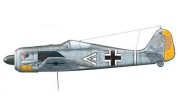 2c.jpg