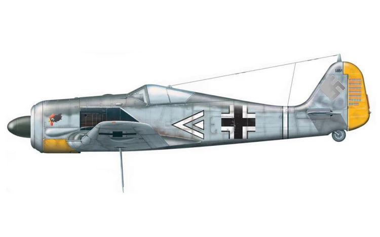 2c.jpg
