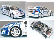 Peugeot 206 WRC 24221 Tamiya