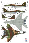 Samolot Mikoyan MiG-29UB Polish Air Force 48025 Hobby 2000