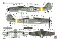 Samolot Focke Wulf Fw190 D-9 Mid 32011 Hobby 2000