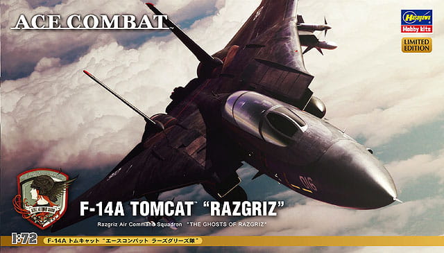 Samolot Grumman F-14a Tomcat Razgriz SP313 52113 Hasegawa