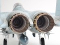 Samolot McDonnell Douglas F-15J Eagle 60307 Tamiya