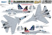 Samolot Sukhoi Su-30MKM/MK/MKA/SME Flanker-H L4831 Lion Roar