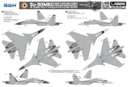 Samolot Sukhoi Su-30MKI Flanker-H L4826 Lion Roar