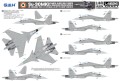 Samolot Sukhoi Su-30MKI Flanker-H L4826 Lion Roar