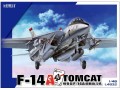 Samolot Grumman F-14A Tomcat L4832 G.W.H