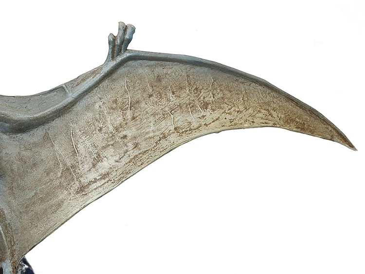 Pterozaur uskrzydlony Pteranodon 60204 Tamiya