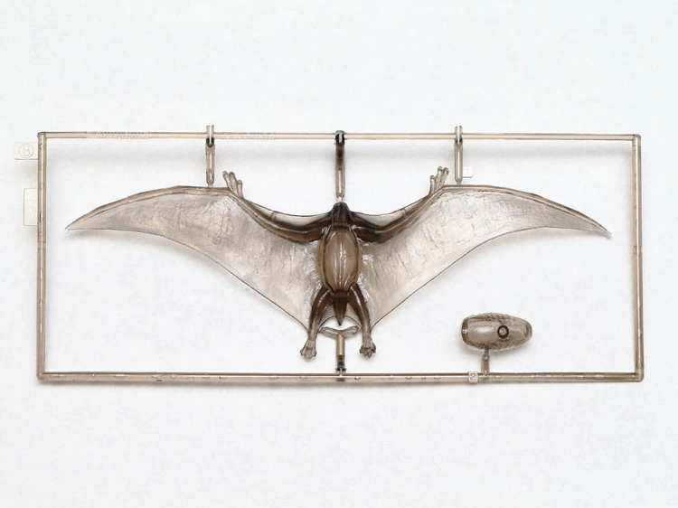 Pterozaur uskrzydlony Pteranodon 60204 Tamiya