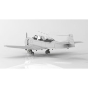 Samolot PZL TS-8 Bies Initial Production WKS Okęcie AA72041 Answer
