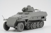 Transporter opancerzony Sd.Kfz.251 Ausf.D w/R35 Turret BT-042 Border