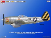 Samolot Republic P-47N-1RE Thunderbolt Basic Kit 48064 MiniArt