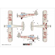 Samolot RWD-13 Polish Civil Service AA48024 Answer
