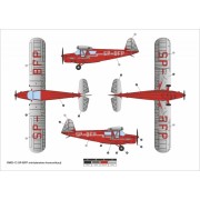 Samolot RWD-13 Polish Civil Service AA48024 Answer