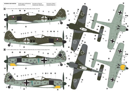 Samolot Focke-Wulf Fw 190 A-5/A-6 Nachtjager 32017 Hobby 2000