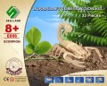 Skorpion składanka drewniana puzzle 3D E006 Sea-Land