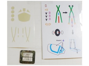 Pasy siedzeniowe i maski do IAR 80