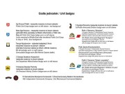 Kalkomania stopnie i odznaki PSZ 35D39 Toro