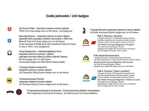 Kalkomania stopnie i odznaki PSZ 35D39 Toro