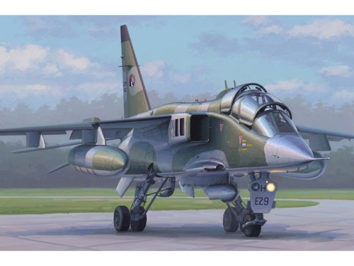 Samolot Sepecat Jaguar E 87259 Hobby Boss