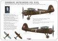 Samolot PZL P.11c 481009 Mirage