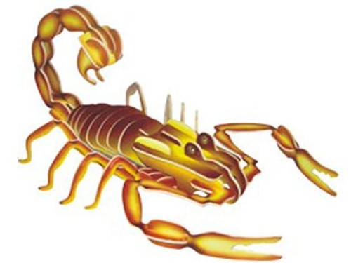 Skorpion składanka drewniana EC006