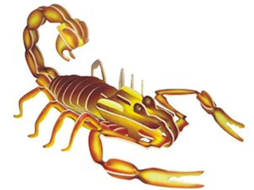 Skorpion składanka drewniana EC006